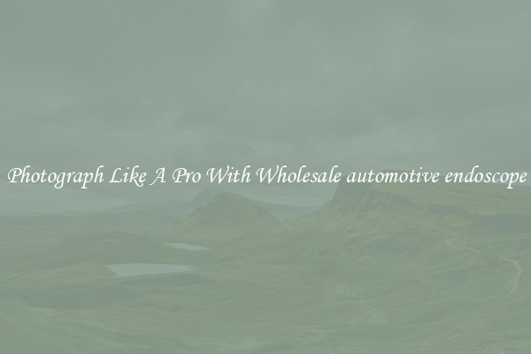 Photograph Like A Pro With Wholesale automotive endoscope