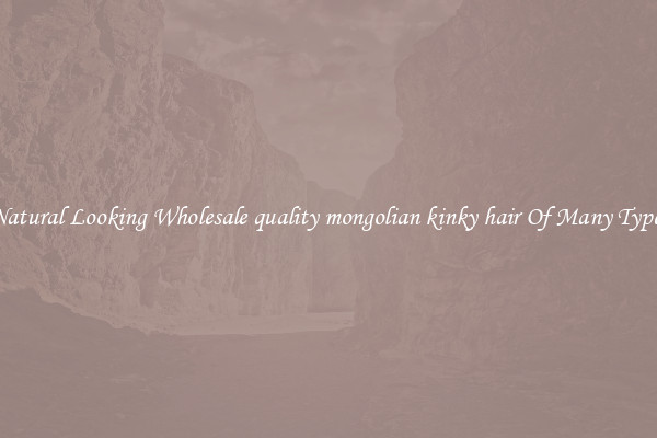 Natural Looking Wholesale quality mongolian kinky hair Of Many Types