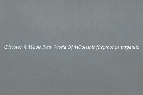 Discover A Whole New World Of Wholesale fireproof pe tarpaulin