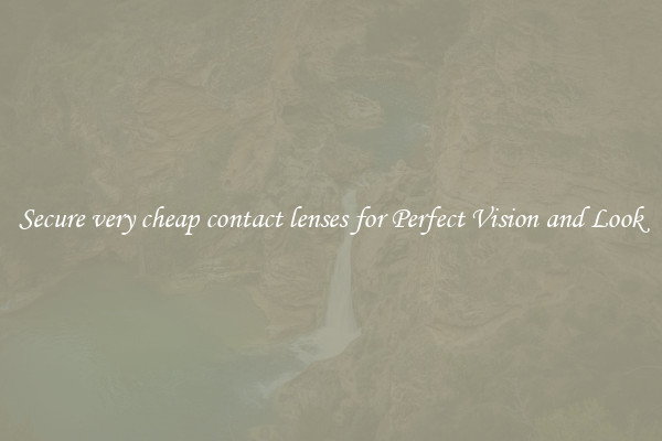 Secure very cheap contact lenses for Perfect Vision and Look