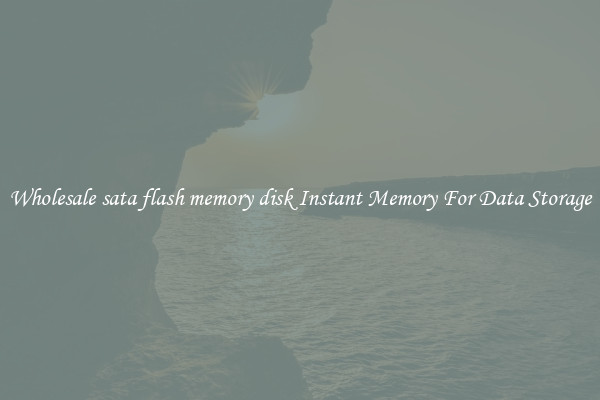 Wholesale sata flash memory disk Instant Memory For Data Storage