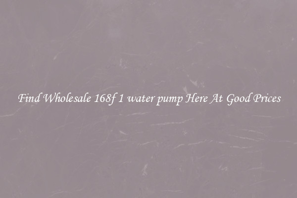 Find Wholesale 168f 1 water pump Here At Good Prices