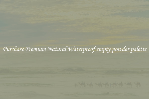 Purchase Premium Natural Waterproof empty powder palette