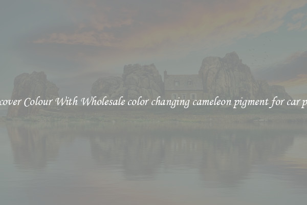 Discover Colour With Wholesale color changing cameleon pigment for car paint