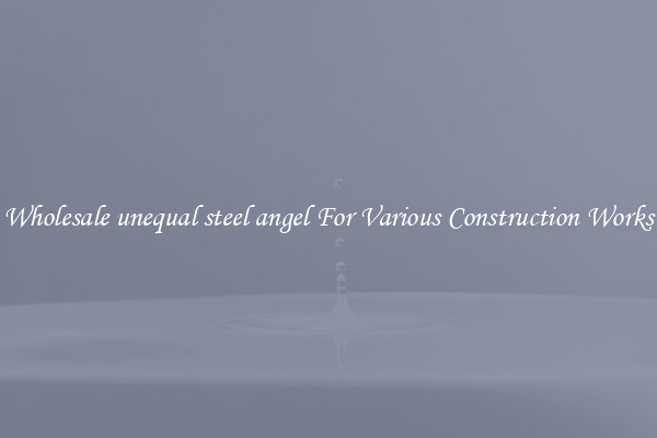 Wholesale unequal steel angel For Various Construction Works