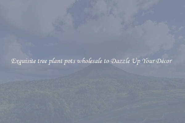 Exquisite tree plant pots wholesale to Dazzle Up Your Décor  