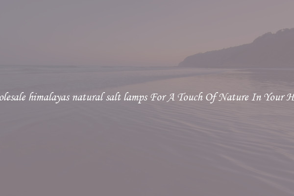 Wholesale himalayas natural salt lamps For A Touch Of Nature In Your House
