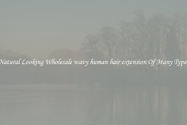 Natural Looking Wholesale wavy human hair extension Of Many Types