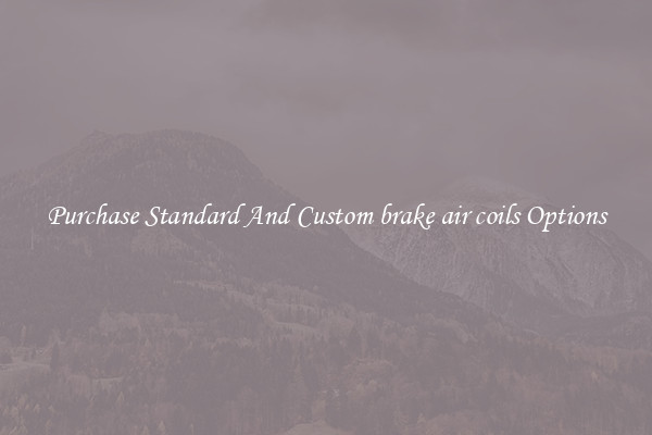 Purchase Standard And Custom brake air coils Options
