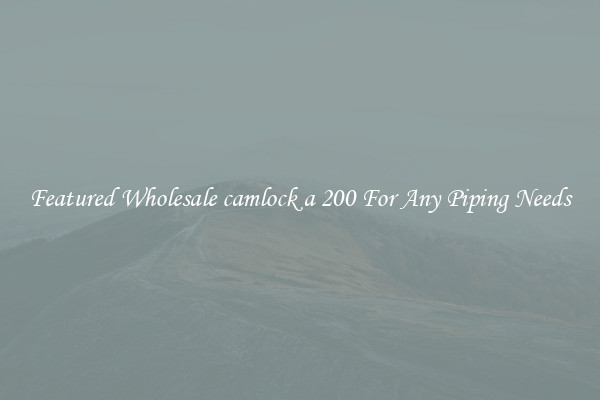 Featured Wholesale camlock a 200 For Any Piping Needs
