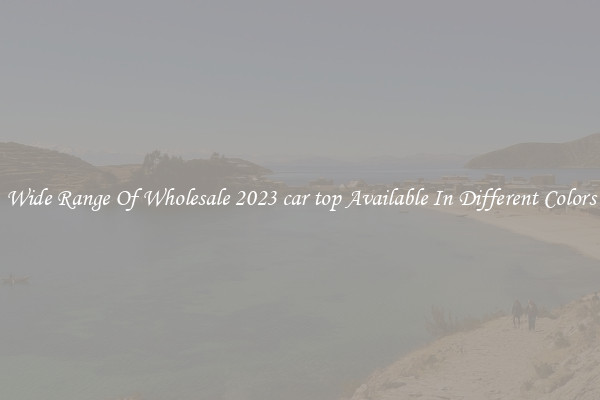 Wide Range Of Wholesale 2023 car top Available In Different Colors