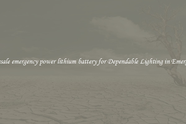 Wholesale emergency power lithium battery for Dependable Lighting in Emergencies