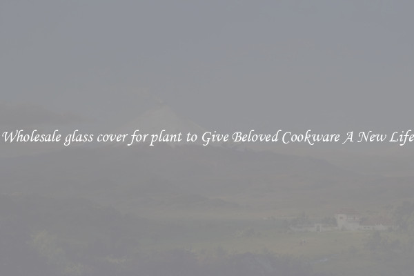 Wholesale glass cover for plant to Give Beloved Cookware A New Life