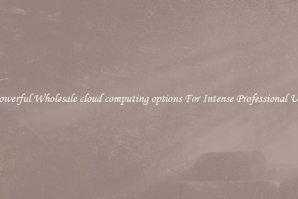 Powerful Wholesale cloud computing options For Intense Professional Use