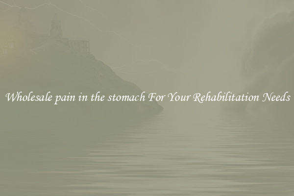 Wholesale pain in the stomach For Your Rehabilitation Needs