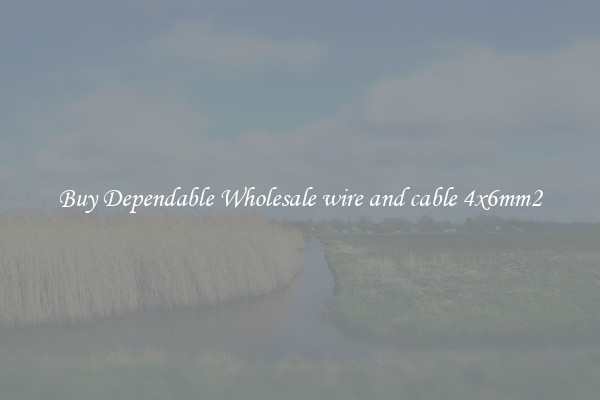 Buy Dependable Wholesale wire and cable 4x6mm2