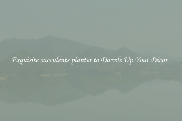 Exquisite succulents planter to Dazzle Up Your Décor  