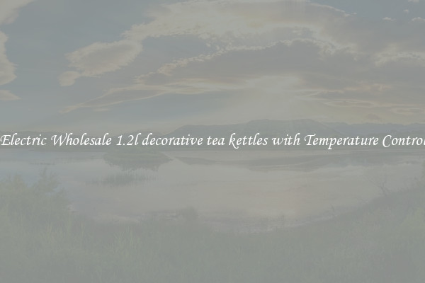 Electric Wholesale 1.2l decorative tea kettles with Temperature Control