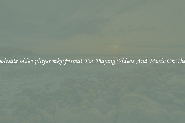 Wholesale video player mkv format For Playing Videos And Music On The Go