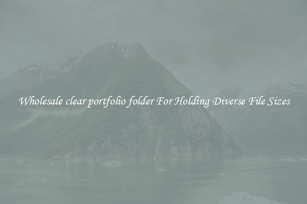 Wholesale clear portfolio folder For Holding Diverse File Sizes